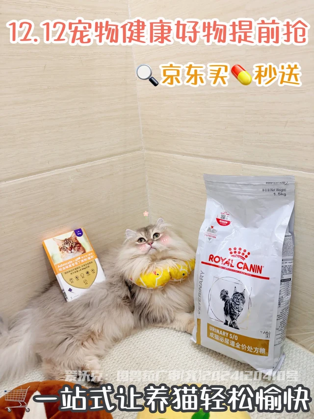 带猫回家过年，年底囤货真香！