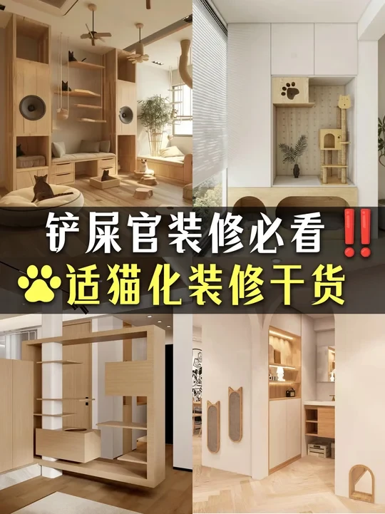 铲屎官装修必看‼适猫化装修干货