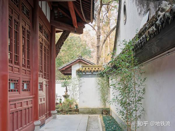 2026年了，M4/3相机在这一年中会有什么变化？