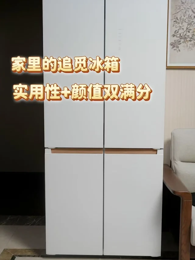 家有一冰箱🍴实用性和颜值都拉满！
