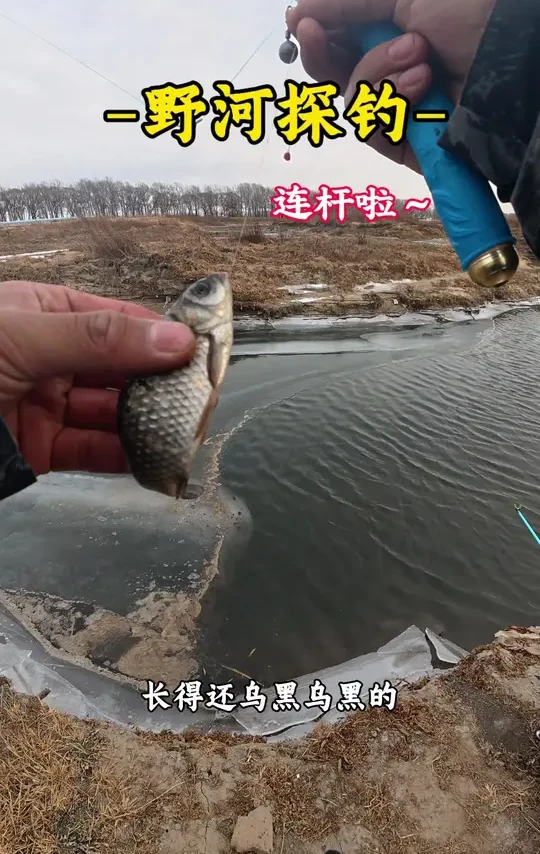 冬天钓鱼真的好暴躁！#沃鼎王者神剑极轻小综合 #化氏赤炼 #钢弹2号 #喜马罗夜光漂 #年度户外勇气时刻 @喜马罗官方旗舰店