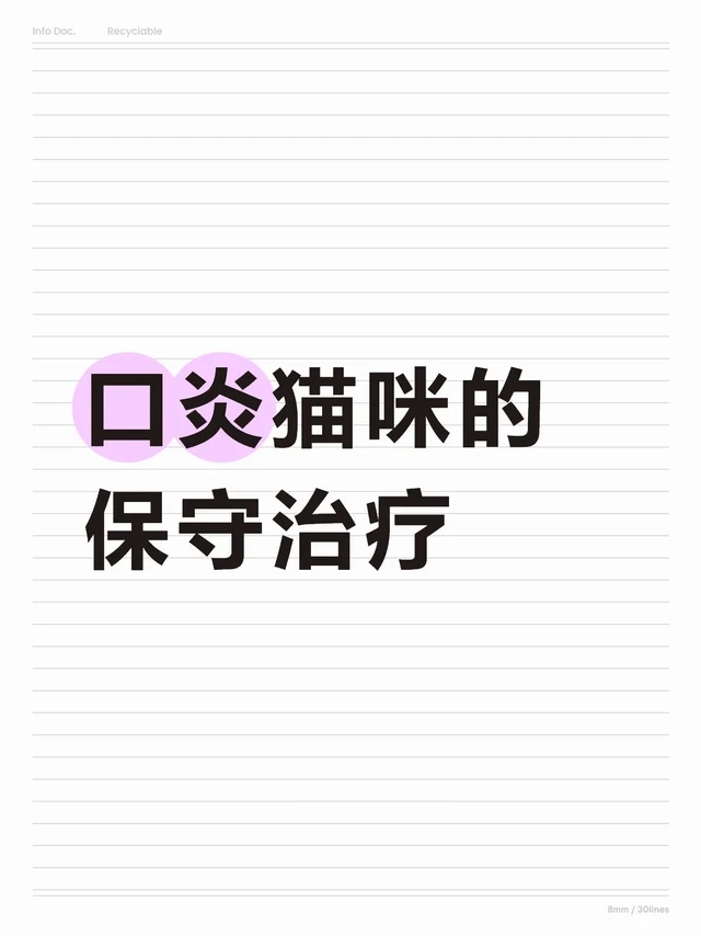 猫咪口炎保守治疗