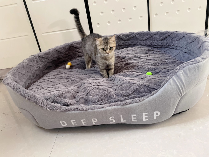 猫狗窝