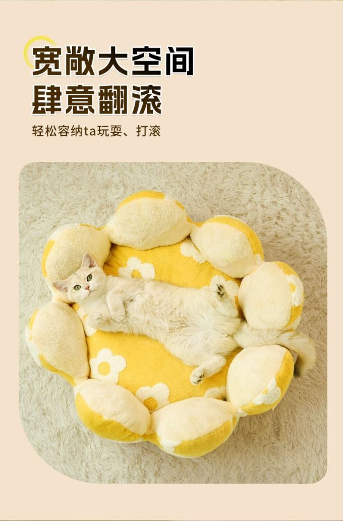 猫狗窝