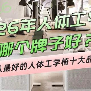 2026年人体工学椅哪个牌子好?公认最好的人体工学椅十大品牌推荐