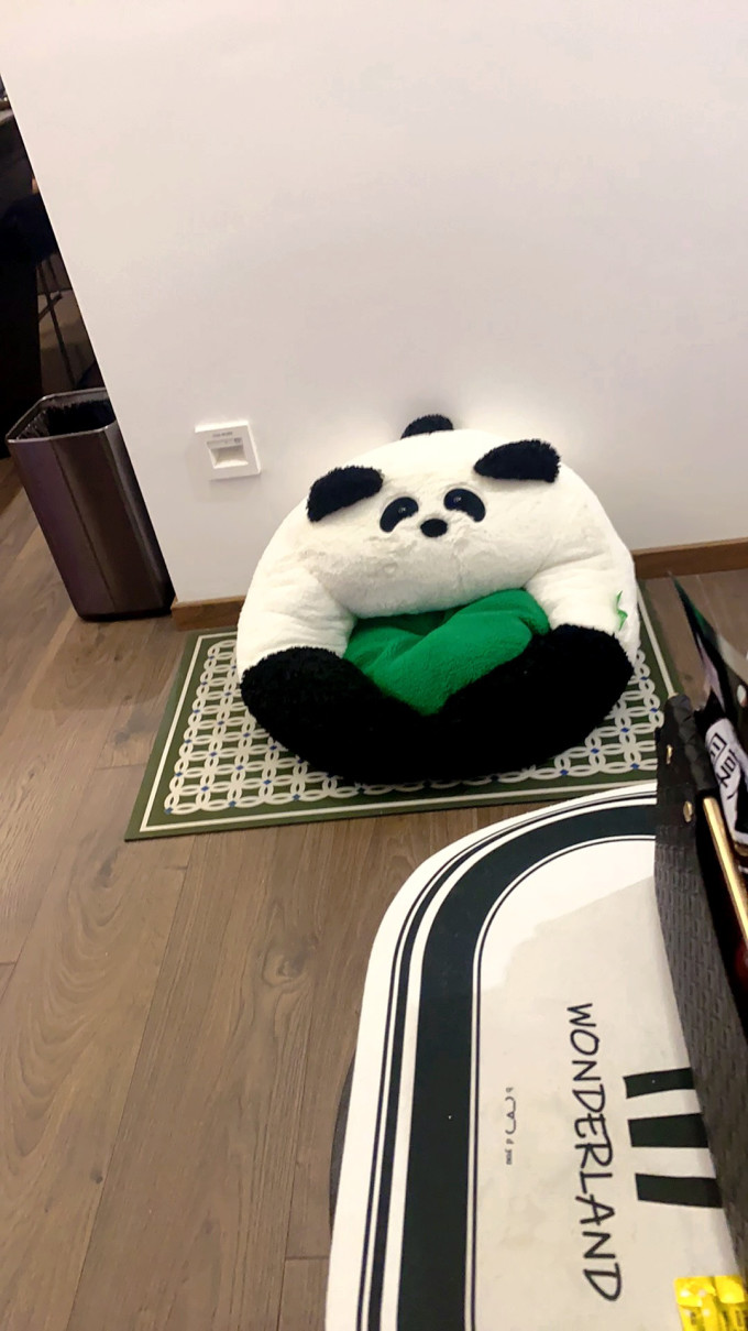 猫狗窝