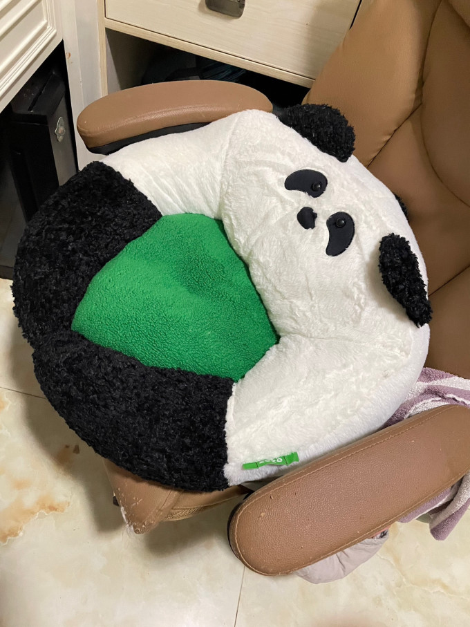 猫狗窝