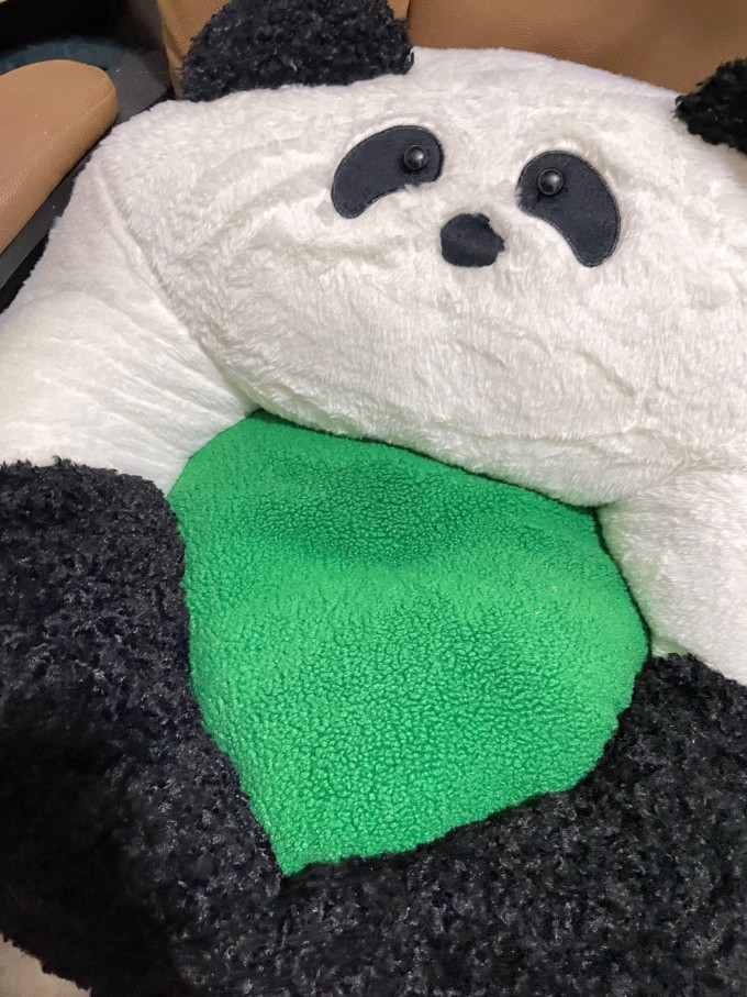 猫狗窝