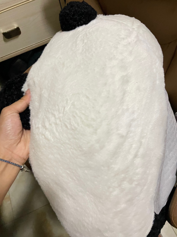 猫狗窝