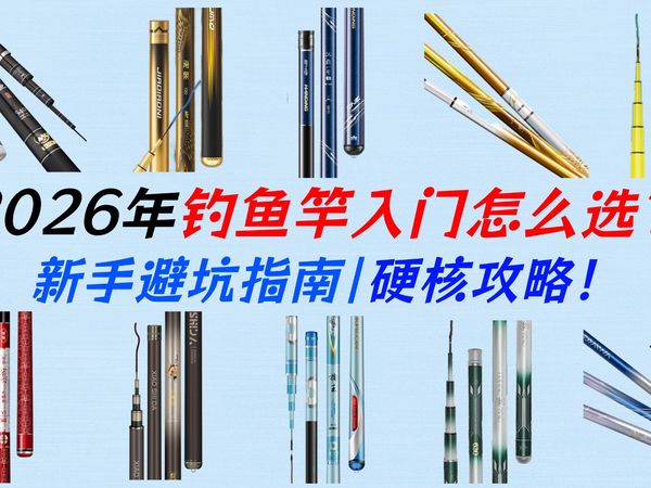 【新手避坑指南】B站超全选购攻略,从百元神竿到千元大物竿,20多款好物推荐:汉鼎、光威、钓鱼王、达亿瓦、宝飞龙等!