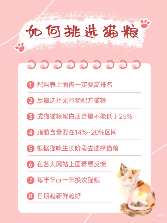 猫咪养护与健康秘诀