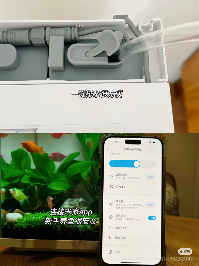 鱼缸