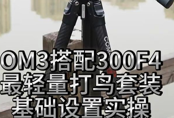 奥之心Om3拍鸟 生态摄影  适合旅拍的相机推荐 相机入门推荐 复古相机