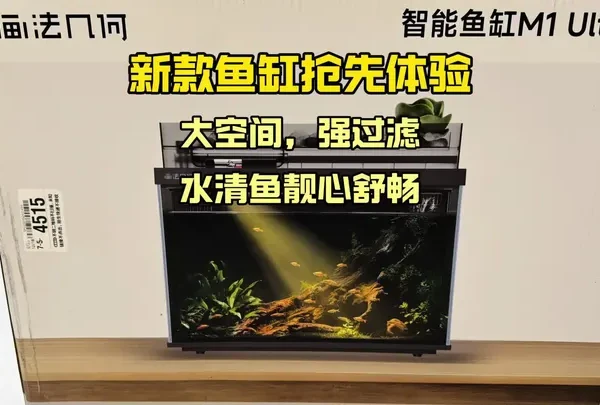 新款鱼缸抢先体验，大空间，强过滤，水清鱼靓心舒畅 #智能鱼缸#画法几何鱼缸 #养鱼日记#万物皆可种草搜