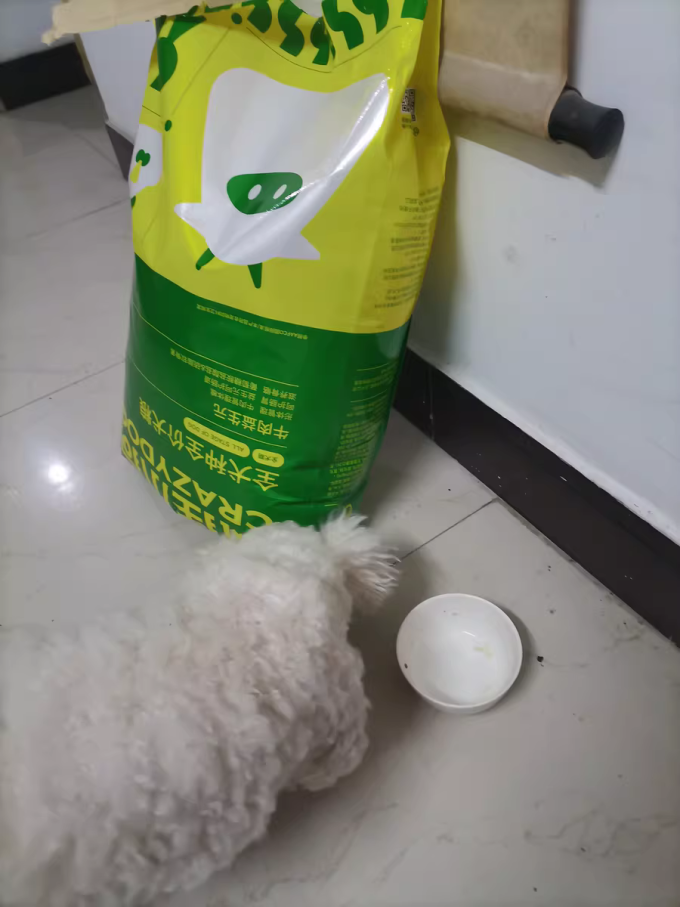 疯狂小狗狗粮