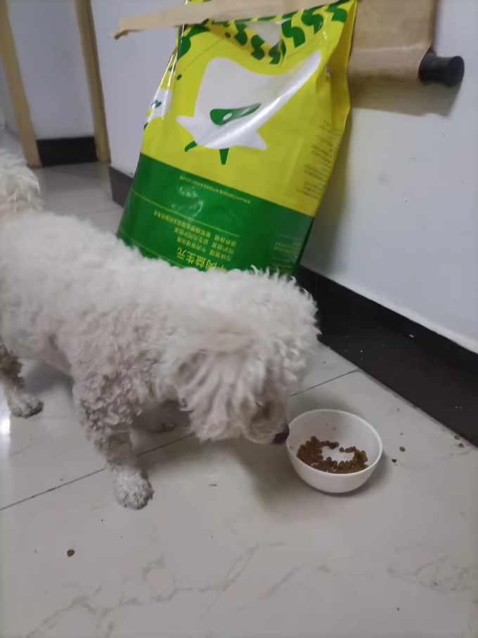 疯狂小狗狗粮