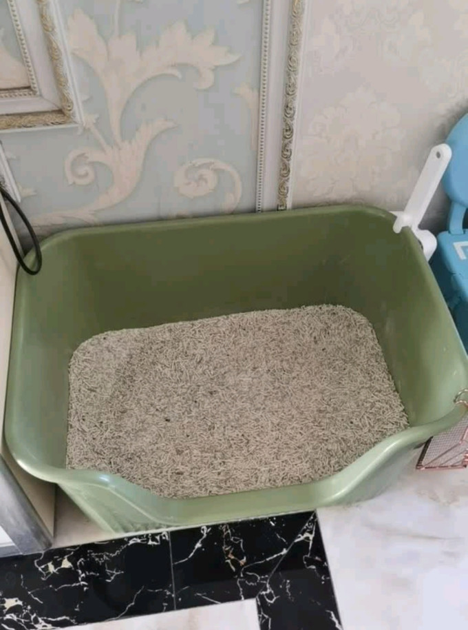疯狂的主人全封闭式猫砂盆