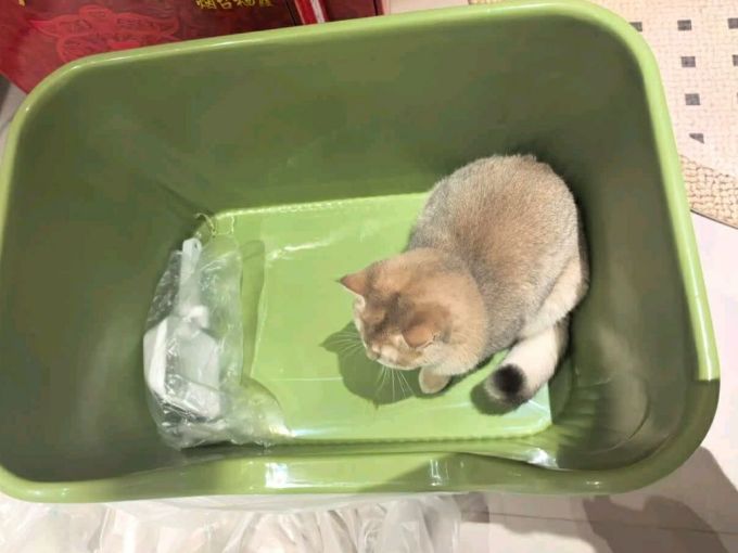 疯狂的主人全封闭式猫砂盆