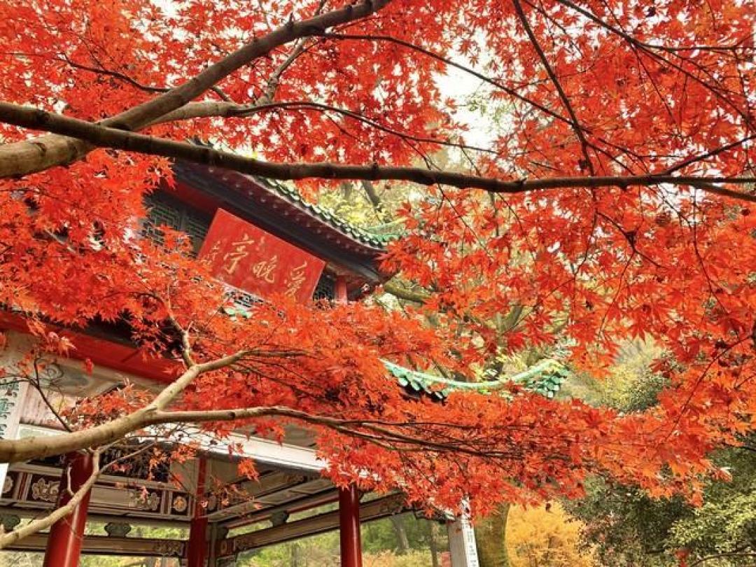 长沙三日游保姆级攻略:玩转山水洲城,吃遍地道美食