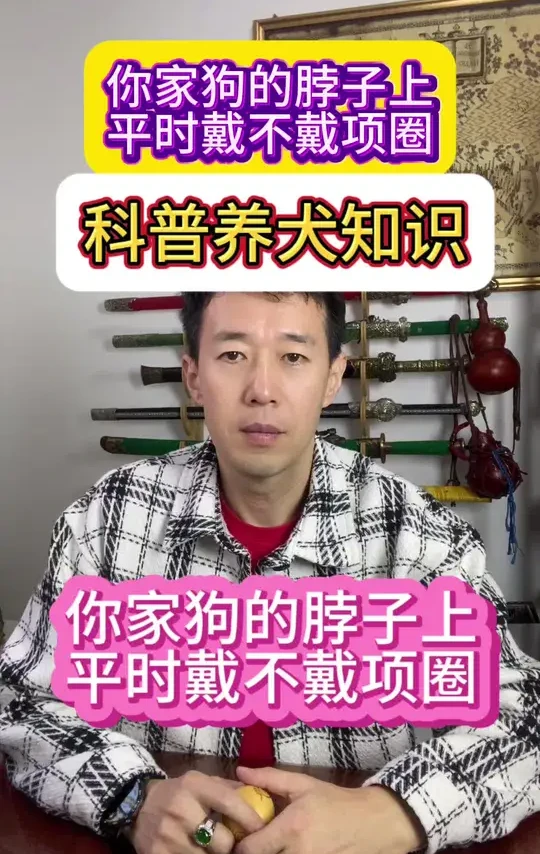 别给狗一直戴着项圈#科学养宠攻略 #养狗经验分享 #新手养狗 #养狗小知识 #狗狗
