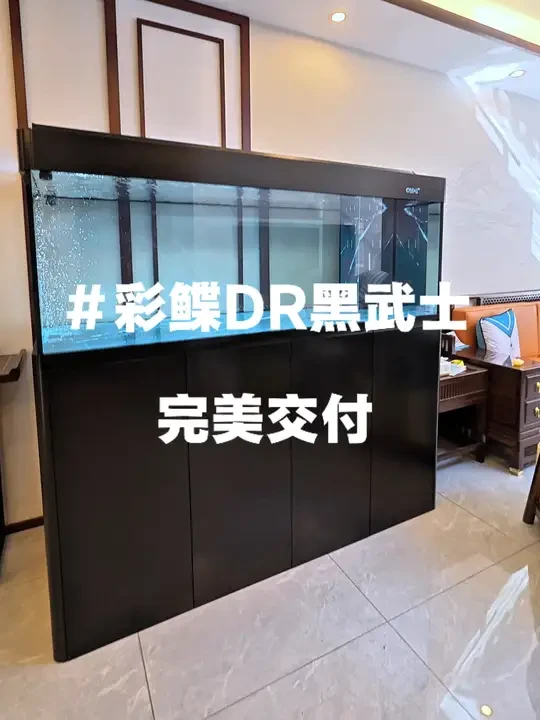 #彩鲽鱼缸 #龙鱼缸 #彩蝶DR 神木一趟心情舒畅