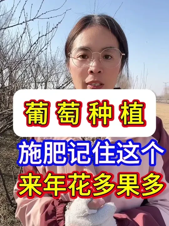 葡萄施肥记住这个配方，来年花多果多#葡萄 #葡萄种植 #葡萄修剪 #葡萄施肥