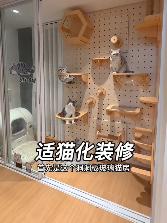 新家装修的看过来，盘点一下我家有哪些适猫化的装修#适猫化设计 #养猫人的家 #友望大橘吸尘器 #集尘刮一下才是真干净 #友望自清洁吸尘器