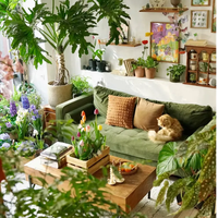 大型观叶植物 vs 小型多肉组合？我们汇总了128位用户真实体验，结论在这