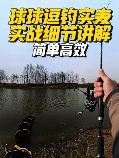 冬天钓鲫鱼轻松简单又高效,就是球球逗钓……#路亚鲫鱼 #矶竿滑漂#滑漂钓法 #路亚滑漂#三顺工坊钓具