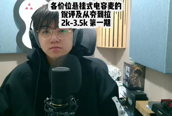 锐评各价位悬挂式电容麦 从夯到拉这一块#麦克风 #话筒 #mk4 #se2200 #语音厅