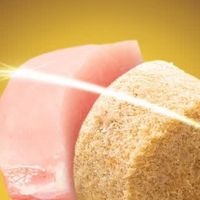 闭眼入的护肠狗粮，我家毛孩子超爱