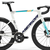 国产公路车是“世界级”还是“低价低质”？1200+用户观点大PK