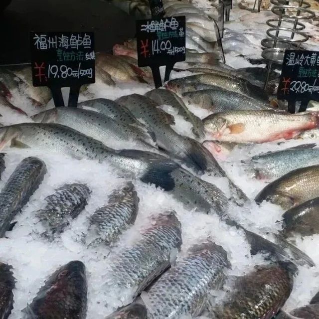 【商品售卖知识】超市鱼类选购终极指南！18种常见鱼区别+做法全解析，这样挑新鲜又美味，小七多年经验一次说清！快点赞收藏！