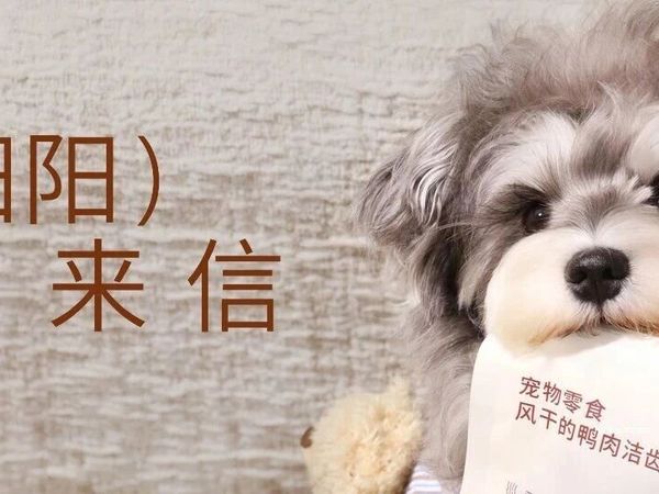 暖阳阳来信 | 11月辑（文末宠粉互动）