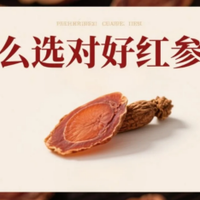红参哪家品牌更要入手2025年十大红参口碑榜单，补气养血深度评测