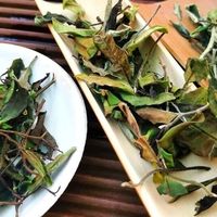 冬季喝绿茶还是白茶？我们汇总了200+用户真实观点，答案在这