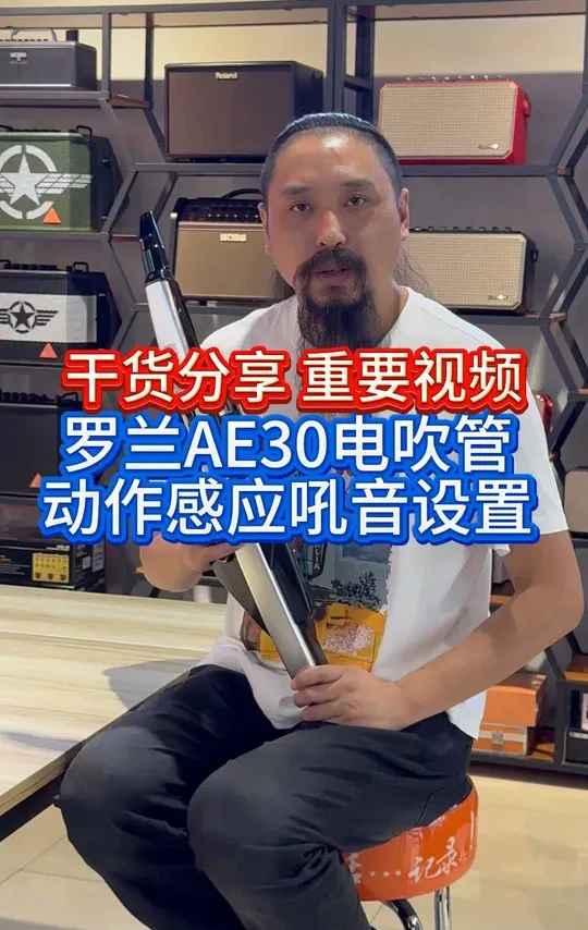 罗兰AE30电吹管 动作感应吼音设置 罗兰AE30电吹管 动作感应吼音设置#电吹管 #电吹管音箱 #罗兰电吹管 