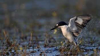 年末影像升级节点到来，尼康推出 Z 系列多款机型覆盖多元拍摄需求 