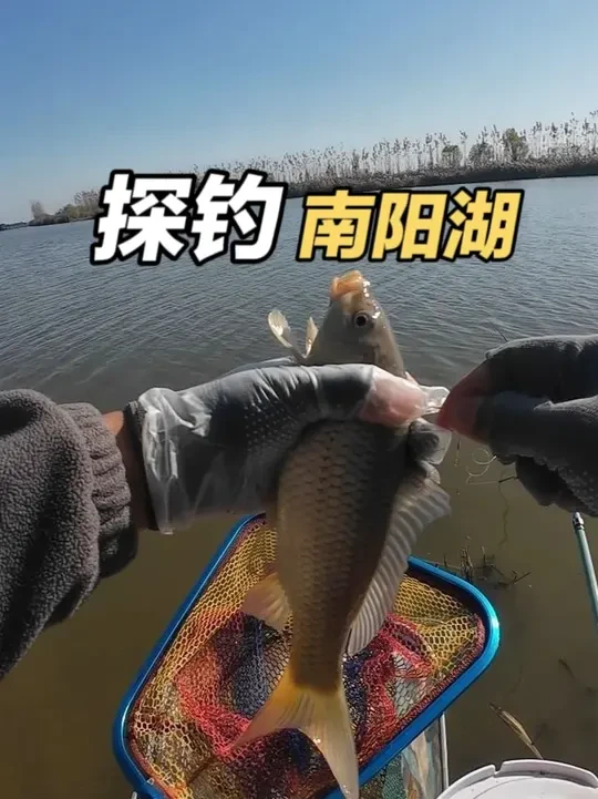冬季钓鱼,浅滩一口没有,换到深水立马爆连 #汉鼎卓越 #汉鼎真材实料放心入 #钓鱼就用云飞鱼 #喜马罗夜光漂 #钓鱼