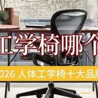 人体工学椅哪个好用？2026人体工学椅十大品牌