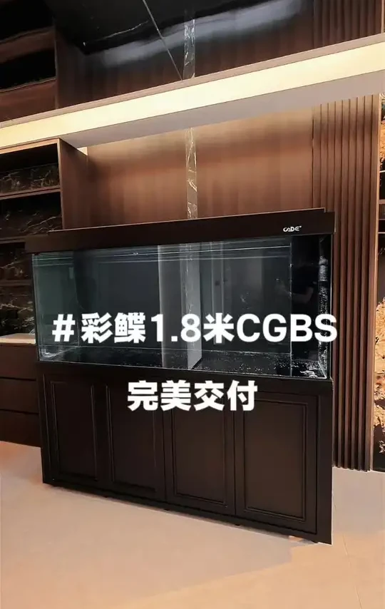 #创作灵感 #彩鲽鱼缸 彩鲽CGBS性价比龙缸