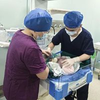 62岁失独母亲怀二胎引热议，537+ 用户真实观点全景呈现