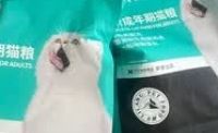 力狼三拼猫粮：三种形态满足猫咪