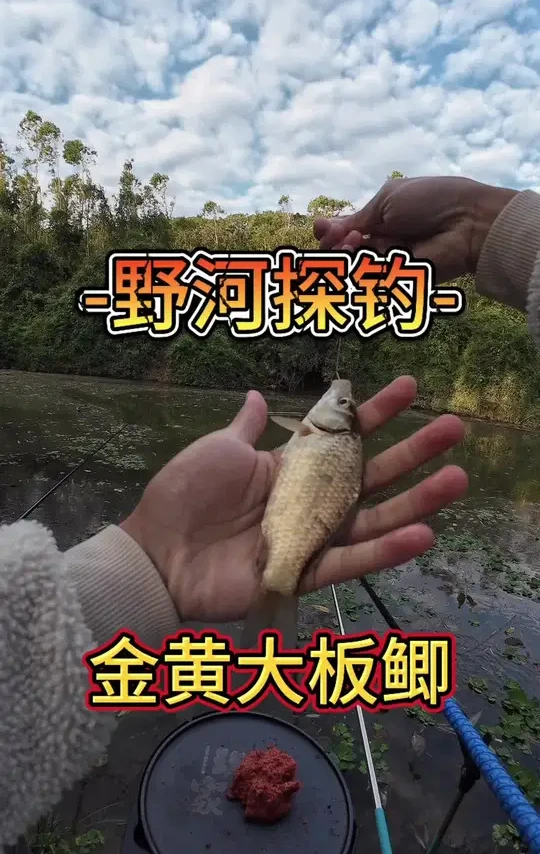 新人钓鱼第41天!#原来钓鱼才是抖音运动顶流 #汉鼎真材实料放心入 #汉鼎卓越 #喜马罗夜光漂 #城市渔仓 @喜马罗官方旗舰店 @汉鼎官方旗舰店