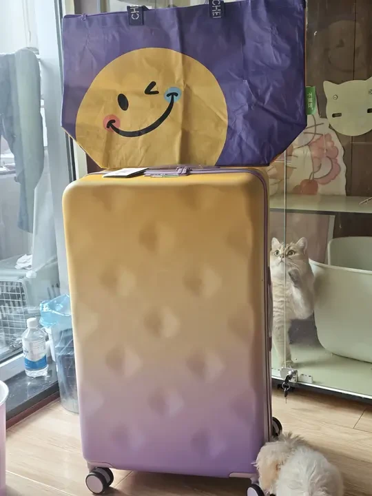 堡喜欢！堡得到！💛💜