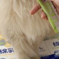 双旦宠喵仪式感：绵羊奶猫条