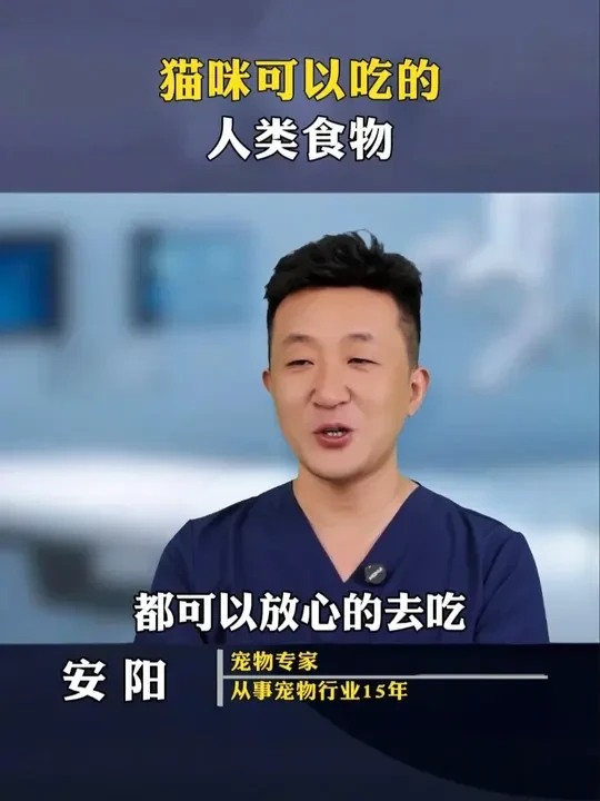 家里小猫日常解馋，这几种食物都可以放心去吃 #养猫经验  #新手养猫  #猫零食  #宠物零食  #科学养宠攻略