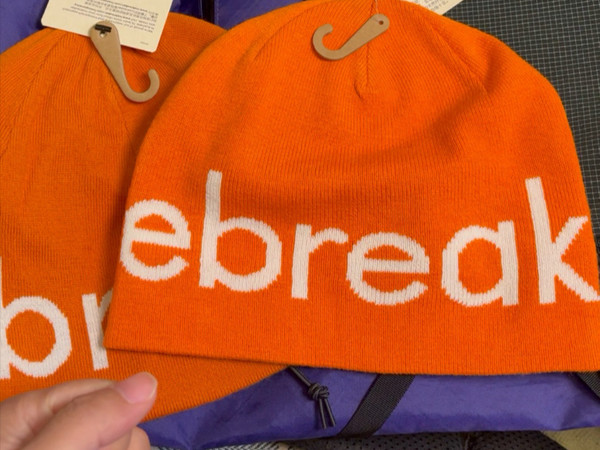 Icebreaker 冷帽，真伪对比