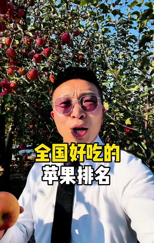 哪里的苹果好吃，和产地品种有关系，家里种的昭通冰糖心苹果熟透了，新鲜现摘现发#糖心苹果#新鲜水果 #苹果新鲜#昭通苹果#苹果水果