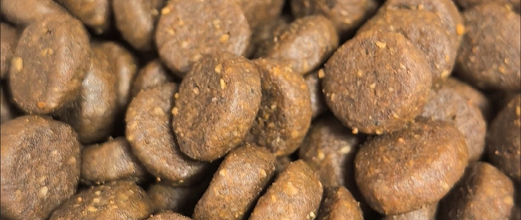 宠物双旦仪式感，渴望原味鸡肉配方犬粮体验